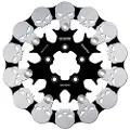 Galfer Skull Df835frh Flydende Bremseskive