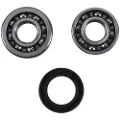 Hotrods Honda Crf 450r 17-22/rx 17-22/rwe 19-22 Svingarm Lejesæt