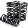 Dp Brakes Hds70-5 Honda Cr125r 2000-2003 Koblingsfjedersæt 5 Enheder