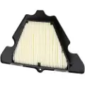 Champion Caf1920 Kawasaki Z1000 Se 2014 Luftfilter