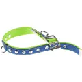 Ferplast Dual 25 Mm 45 Cm Hundehalsbånd