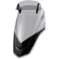 Puig Touring Yamaha Fz6 Fazer S2 Forrude Med Visir