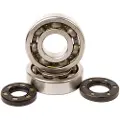 Hotrods Kawasaki Kdx 250 91-94/kx 250 87-01 Krumbøllejesæt