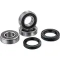 FACTORY LINKS Honda Cr 125 R 92-99/cr 250 R 92-99/cr 500 R 92-01 Rwk-h-191 Hjullagersæt
