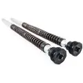 Öhlins Nix30a Ducati Scrambler Desert Sled 2017-2022 Affjedrings Cartridge Kit