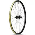 WTB tyres Czr I23 24h 6b Disc Tubeless Grus Baghjul