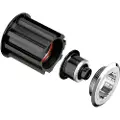 Dt Swiss Campagnolo 3-pawl Kit Lejekugler