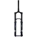 Formula Selva C Boost 15x110 Mm 43 Offset Mtb-forgaffel