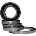 BLACK BEARING Ceramic Lejer