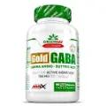 Amix Gold Gaba Vitamins Kapsler 90 Enheder