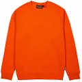U Power Ombo Sweatshirt