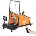 Vevor Løbebånd til mellemstore hunde, 90 kg vægtkapacitet, elektrisk løbebånd til hunde med 3 justerbare ramper, indendørs løbebånd til kæledyr med LCD-skærm, hundepasningsbånd til træning