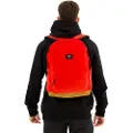 Vans Rygsække Vans OLD SKOOL SPORT BACKPA herre One size