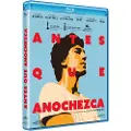 Divisa Antes Que Anochezca Blu-ray