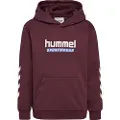 Hummel Logo Hættetrøje