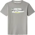 Pepe Jeans Pepe Jeanstil drenge. PB503976 T-shirt Felix grå (4años= 80cm), Casual, Bomuld, Korte ærmer, børnetøj
