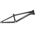 Radio Quartz Pro L Bmx-ramme