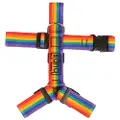 Bub´s Not Pull Rainbow Hundeseletøj 40mm