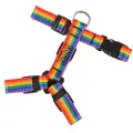 Bub´s Not Pull Rainbow Hundeseletøj