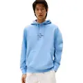 Tommy Hilfiger Outline Flag Script Hættetrøje