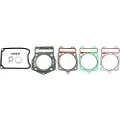 RMS Beauty Piaggio Beverly 500cc 2002/2003 100689500 Komplet Pakningssæt
