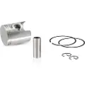 Evok Honda Sh/sky 50cc 2t 39mm 100091090 Stempelkit