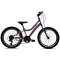 Capriolo Diavolo 200 20´´ Cykel