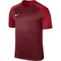Nike Dry Trophy Iii T-shirt Med Korte ærmer