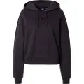 Vans Sweatshirts Vans W ESSENTIAL H-FT RLX PO dame EU L
