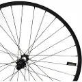 Specialized Roval Control 29´´ 6b Disc Mtb Baghjul
