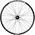 Mavic Deemax Park 29´´ Int Mtb Forhjul