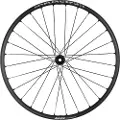 Mavic E-crosstrail Sl 29´´ Boost 6b Disc Tubeless Mtb Forhjul