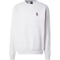 Iriedaily Minican Crewneck Sweater grå