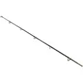 Wizard Catfish Shadow Stangspids 2.9 M
