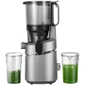 Amzchef Sj-036 250w Saftpresser