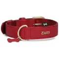 Zwei Leo Le15 Hundesnor
