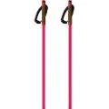 Fischer Storm Gtx S Spadserestokke