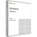 Microsoft 2022 5 Devices Microsoft Windows Server License Operativsystem