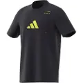 Adidas Category Graphic T-shirt Med Korte ærmer