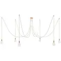 Creative Cables Spider 6 Falls With Light Bulb Pendellampe