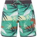 Protest Addo Badeshorts