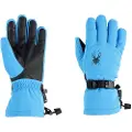Spyder Traverse Goretex Handsker