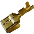 EDM 48613 6.3 Blandet Kloterminal 100 Enheder