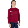 Tecnifibre Team Sweatshirt