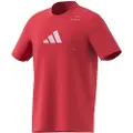Adidas Category Graphic T-shirt Med Korte ærmer