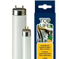 Ferplast Aquasky 54w Neon Akvarielampe