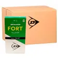 Dunlop Tb Fort All Court Ts 2x4pet Tennisboldeæske