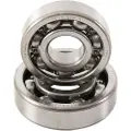 Hotrods Yamaha Grizzly 550-660-700/rhino 660-700 Svingarm Lejesæt
