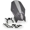 Puig New Generation Touring Bmw F900r 2025 With Supports Kort Vindskærm