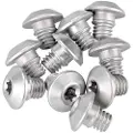 Rotor Shift System Bleeding Bolt 10 Enheder